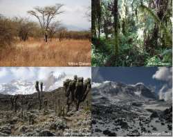 You can find every type of ecological system there, such as the rain forest, moorland, cultivated land. It also has an arctic summit and an alpine des
